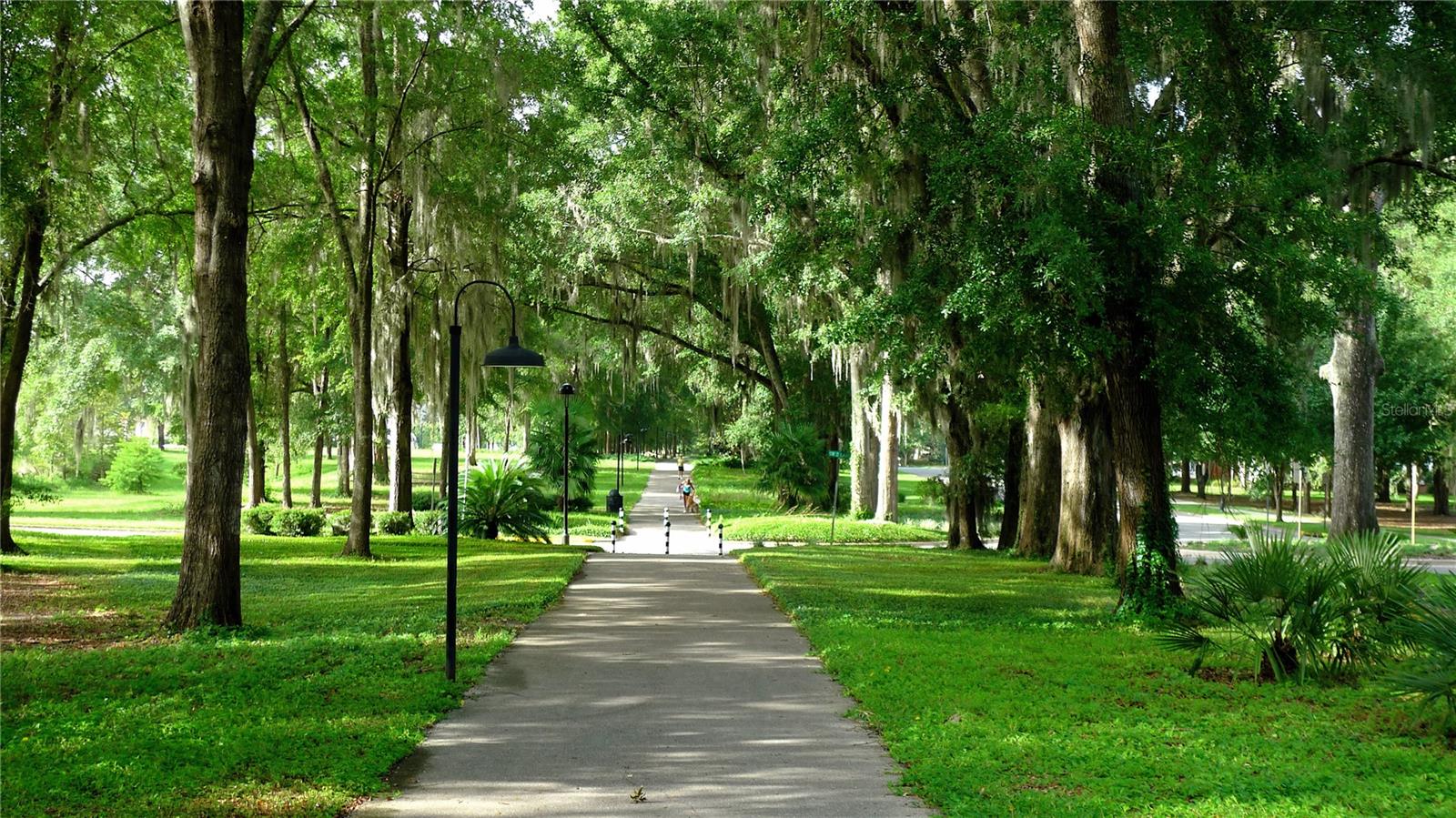 13233 SW 11 RD, NEWBERRY, FL, 32669