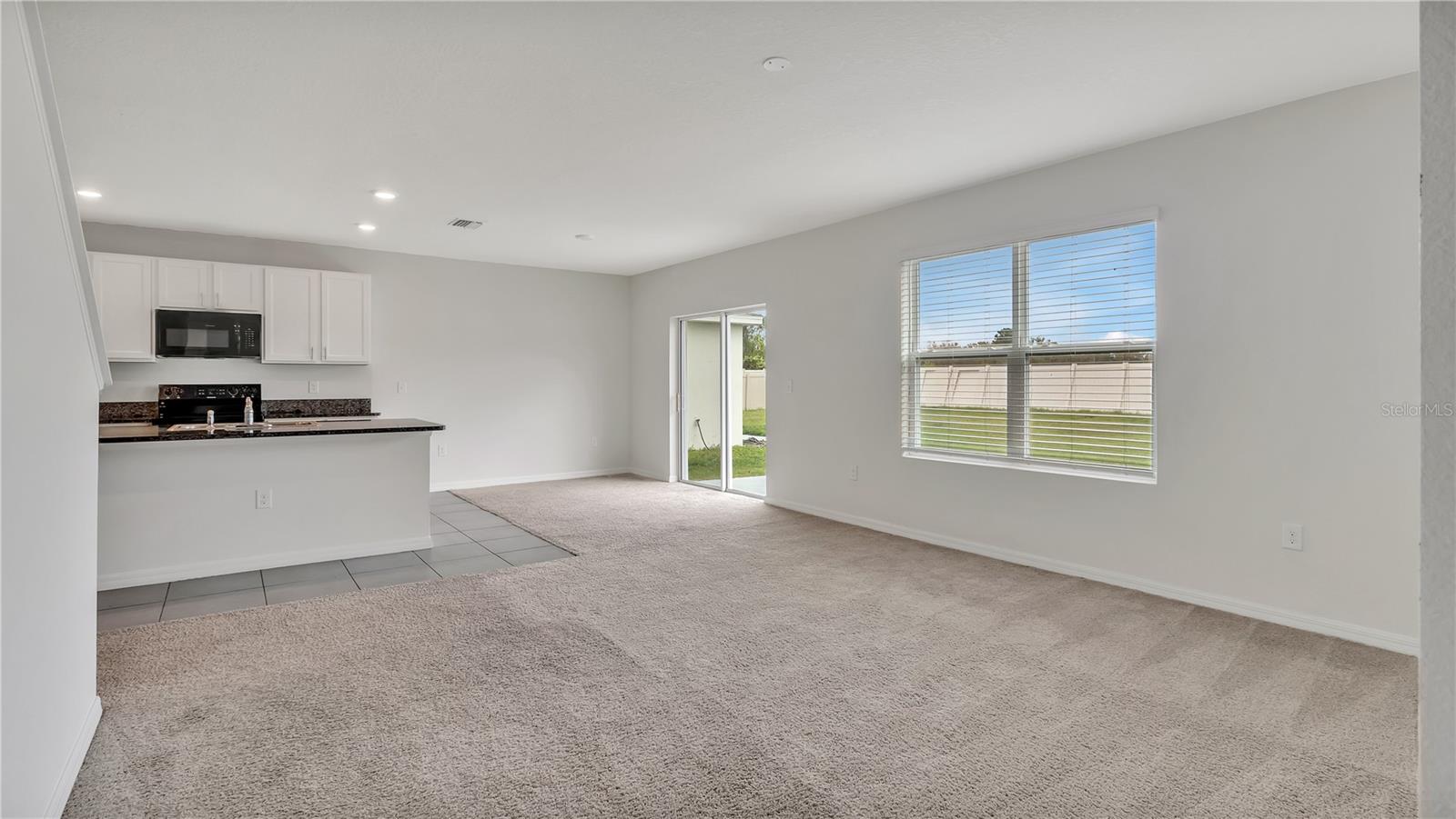 16441 LITTLE GARDEN DR, WIMAUMA, FL, 33598