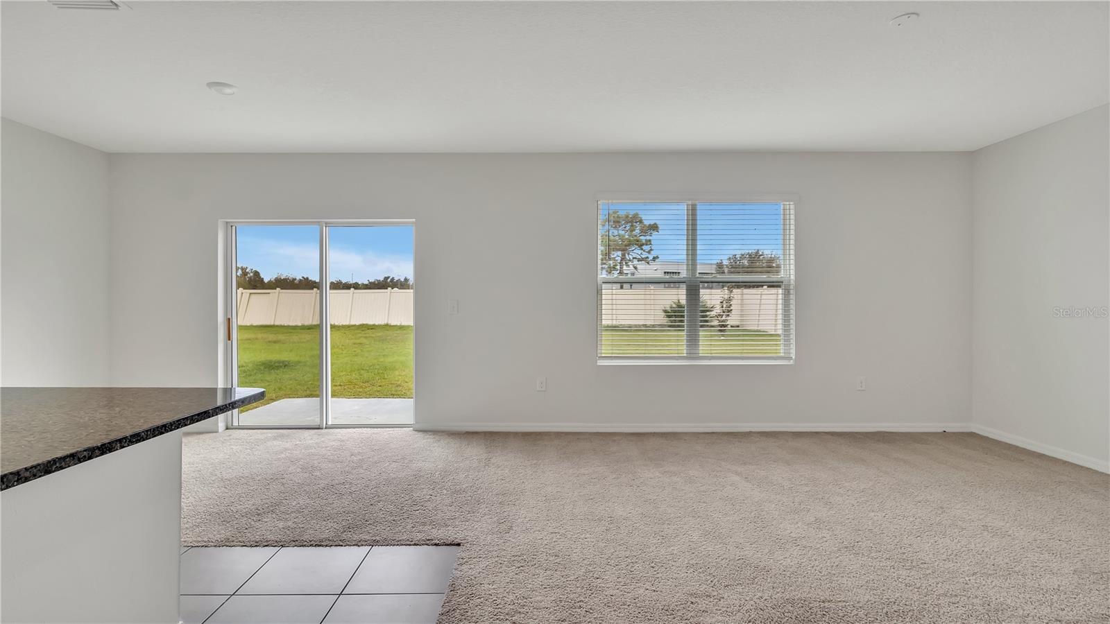 16441 LITTLE GARDEN DR, WIMAUMA, FL, 33598