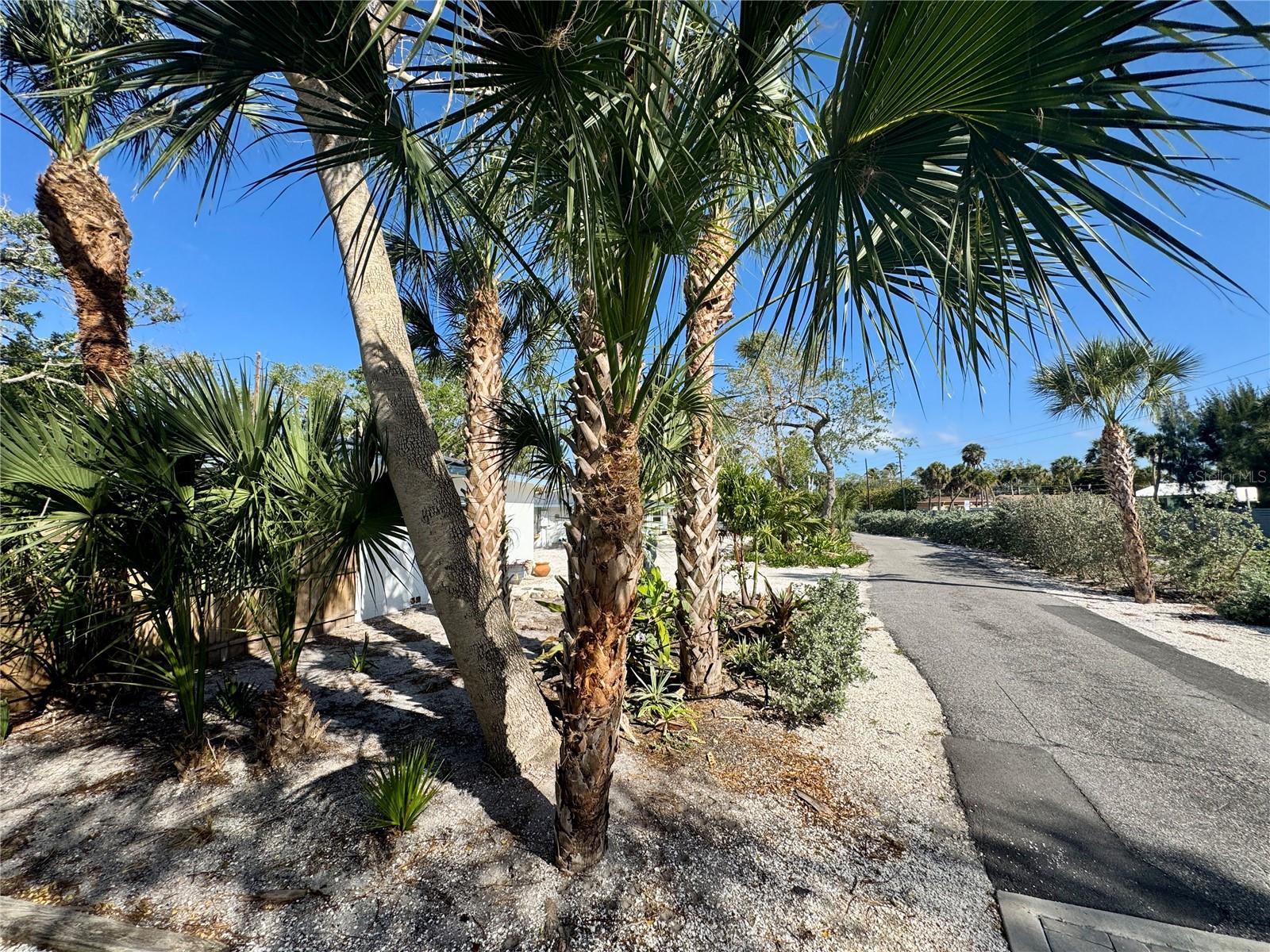 7372 MELALEUCA WAY, SARASOTA, FL, 34242