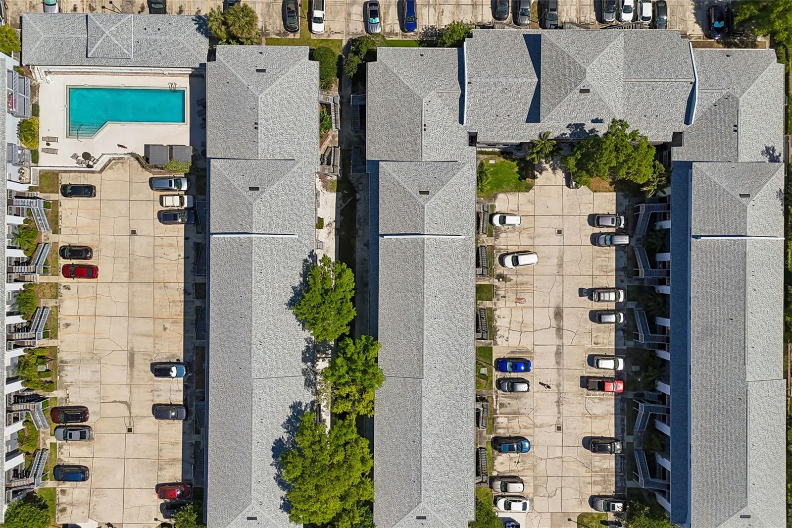 4839 MCELROY #F206, TAMPA, FL, 33611