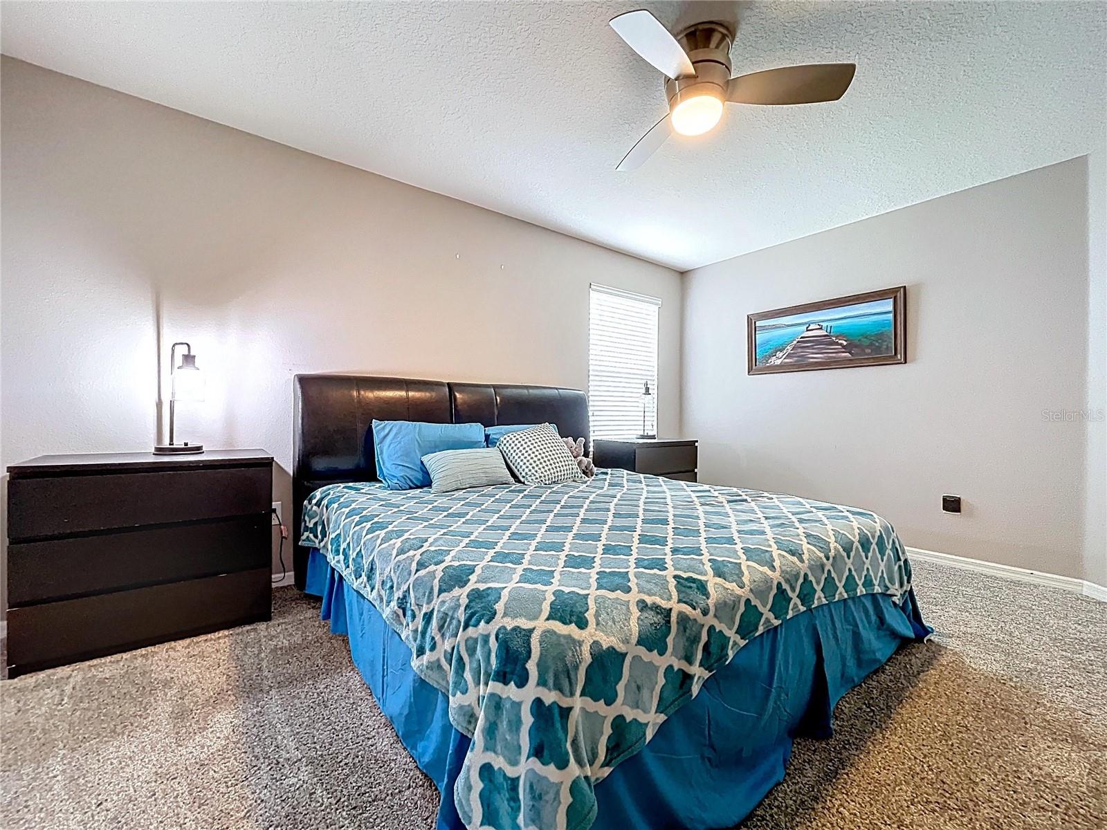 5446 ANGELONIA TER, LAND O LAKES, FL, 34639