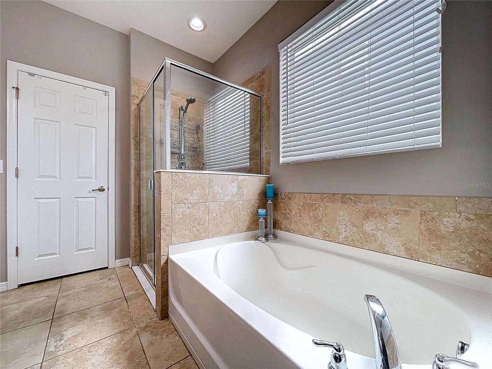 5446 ANGELONIA TER, LAND O LAKES, FL, 34639