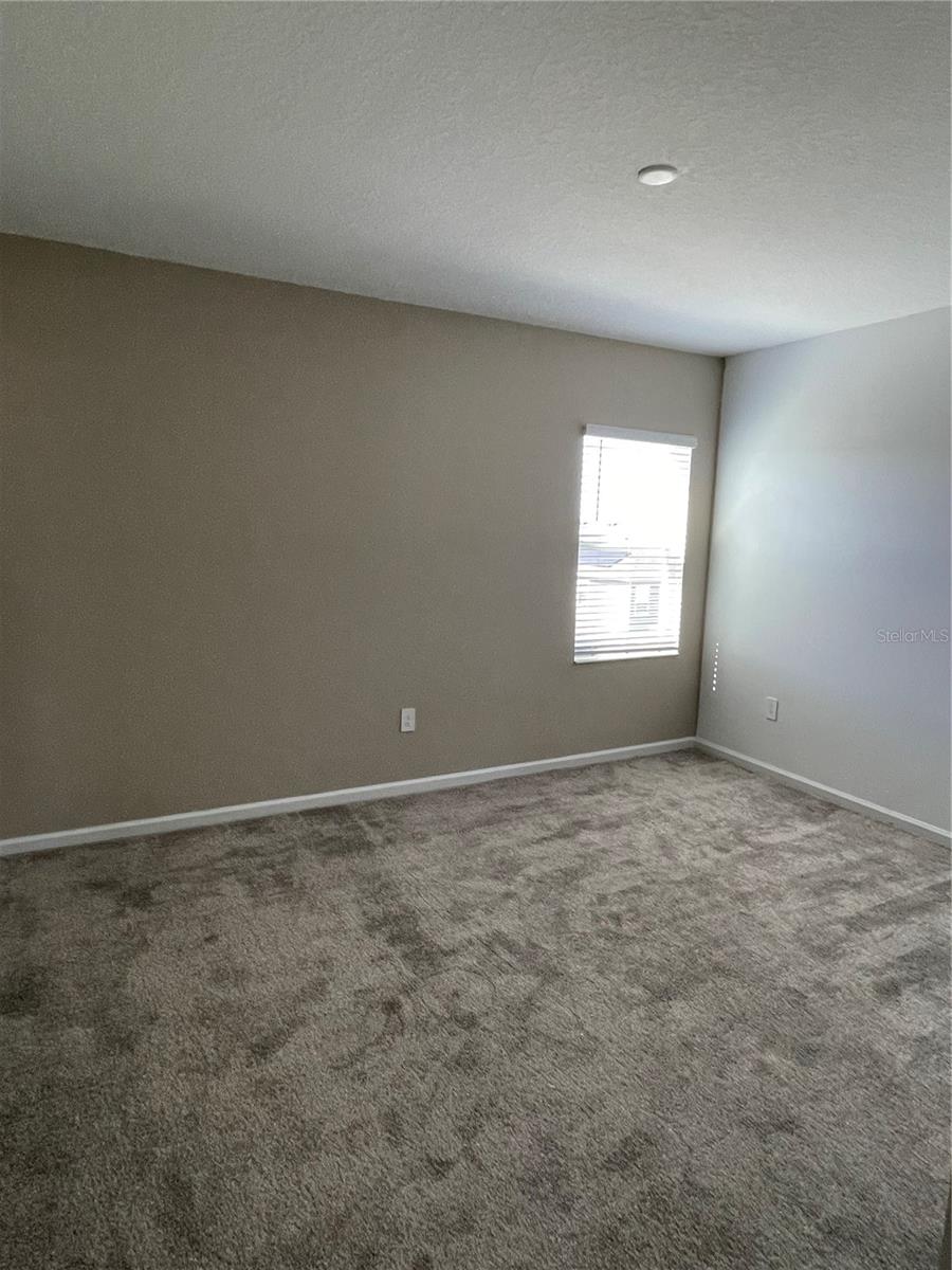 6805 PERCH HAMMOCK LOOP, GROVELAND, FL, 34736