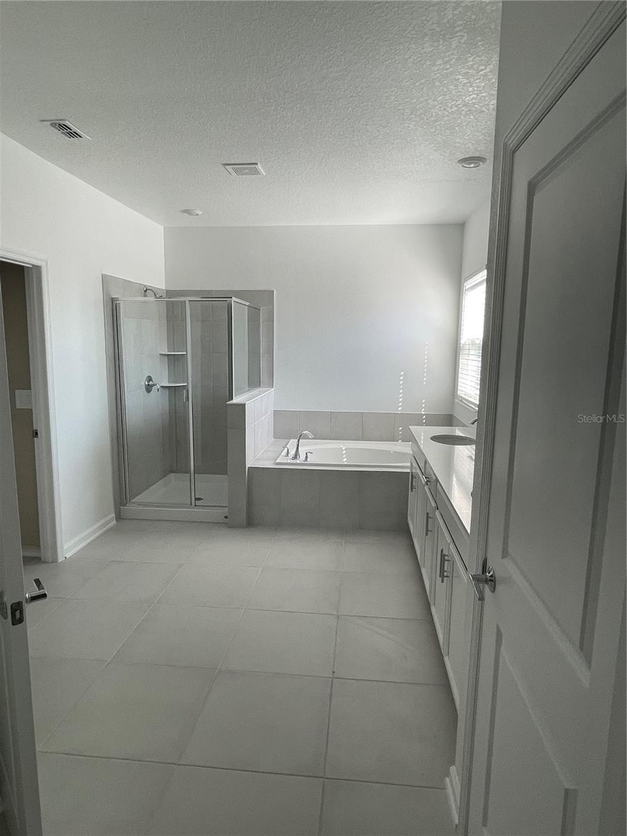 6805 PERCH HAMMOCK LOOP, GROVELAND, FL, 34736