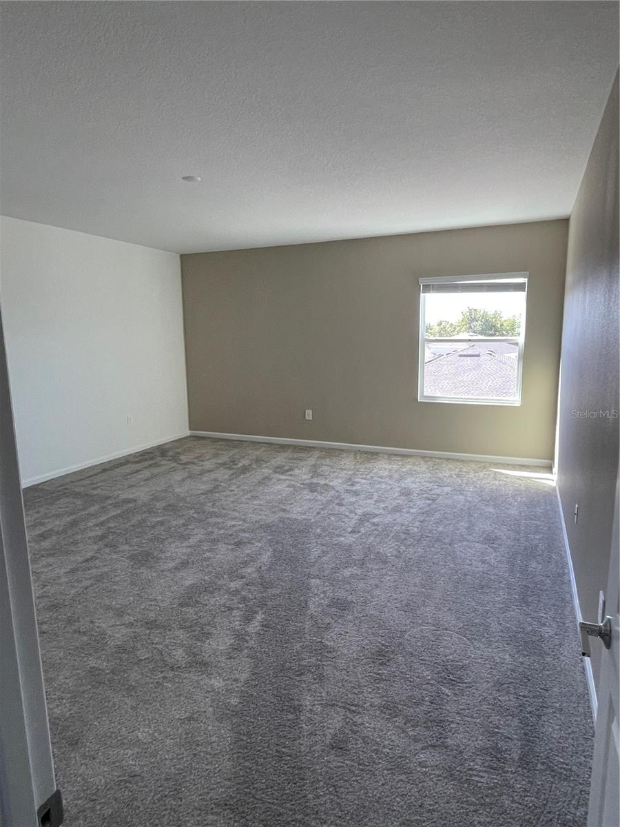 6805 PERCH HAMMOCK LOOP, GROVELAND, FL, 34736