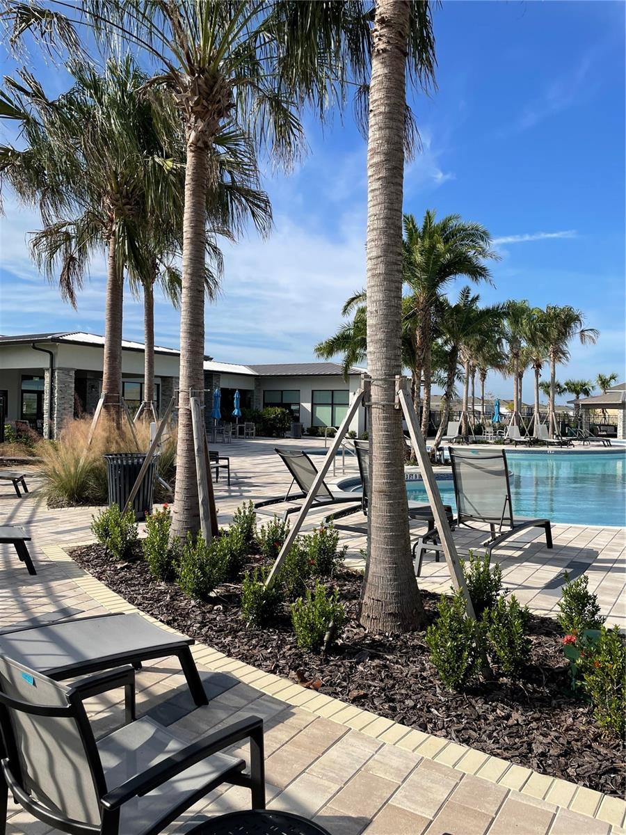 6805 PERCH HAMMOCK LOOP, GROVELAND, FL, 34736