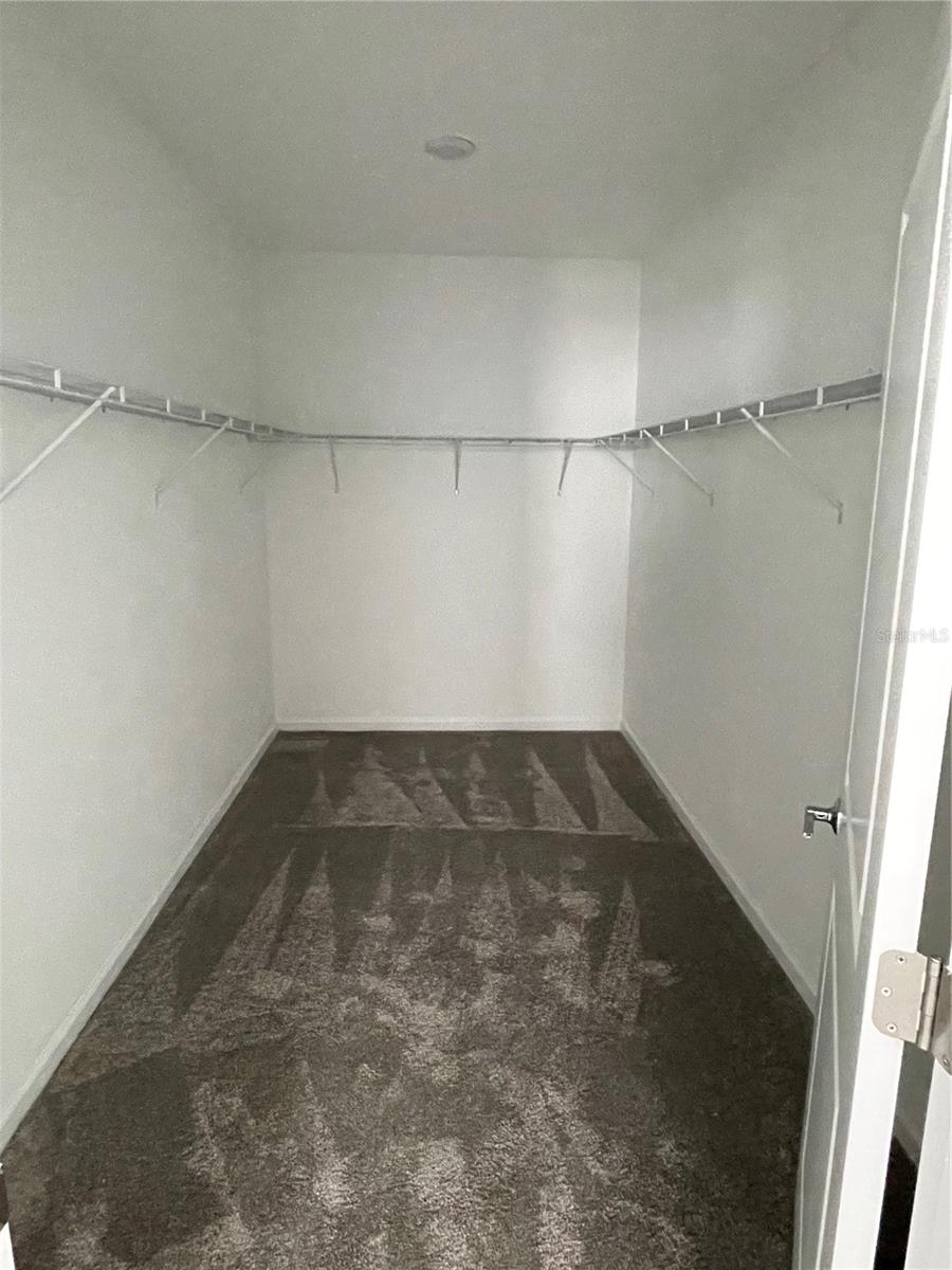 6805 PERCH HAMMOCK LOOP, GROVELAND, FL, 34736