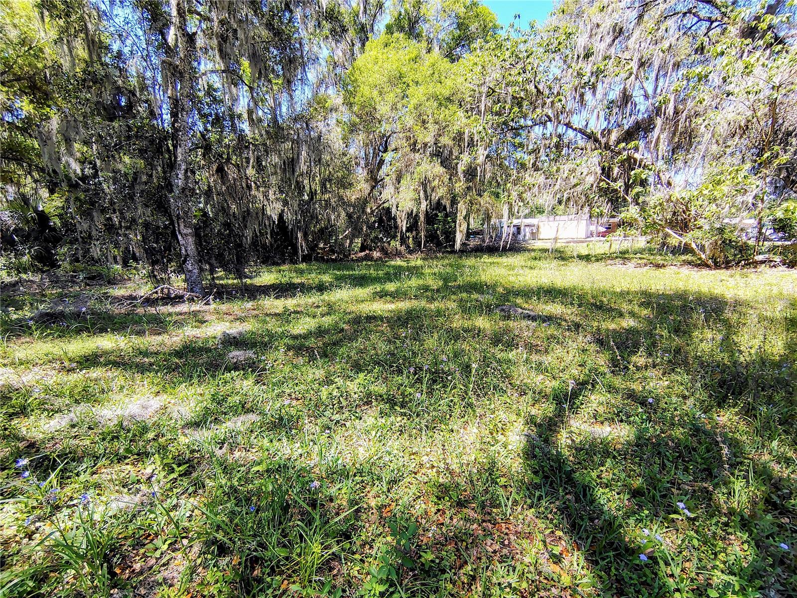 CR 457, LAKE PANASOFFKEE, FL, 33538
