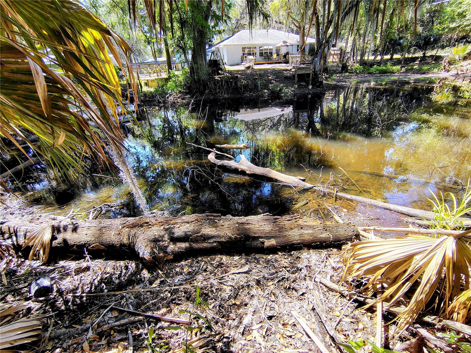 CR 457, LAKE PANASOFFKEE, FL, 33538