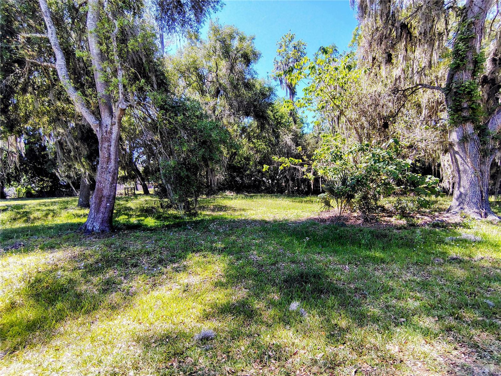 CR 457, LAKE PANASOFFKEE, FL, 33538