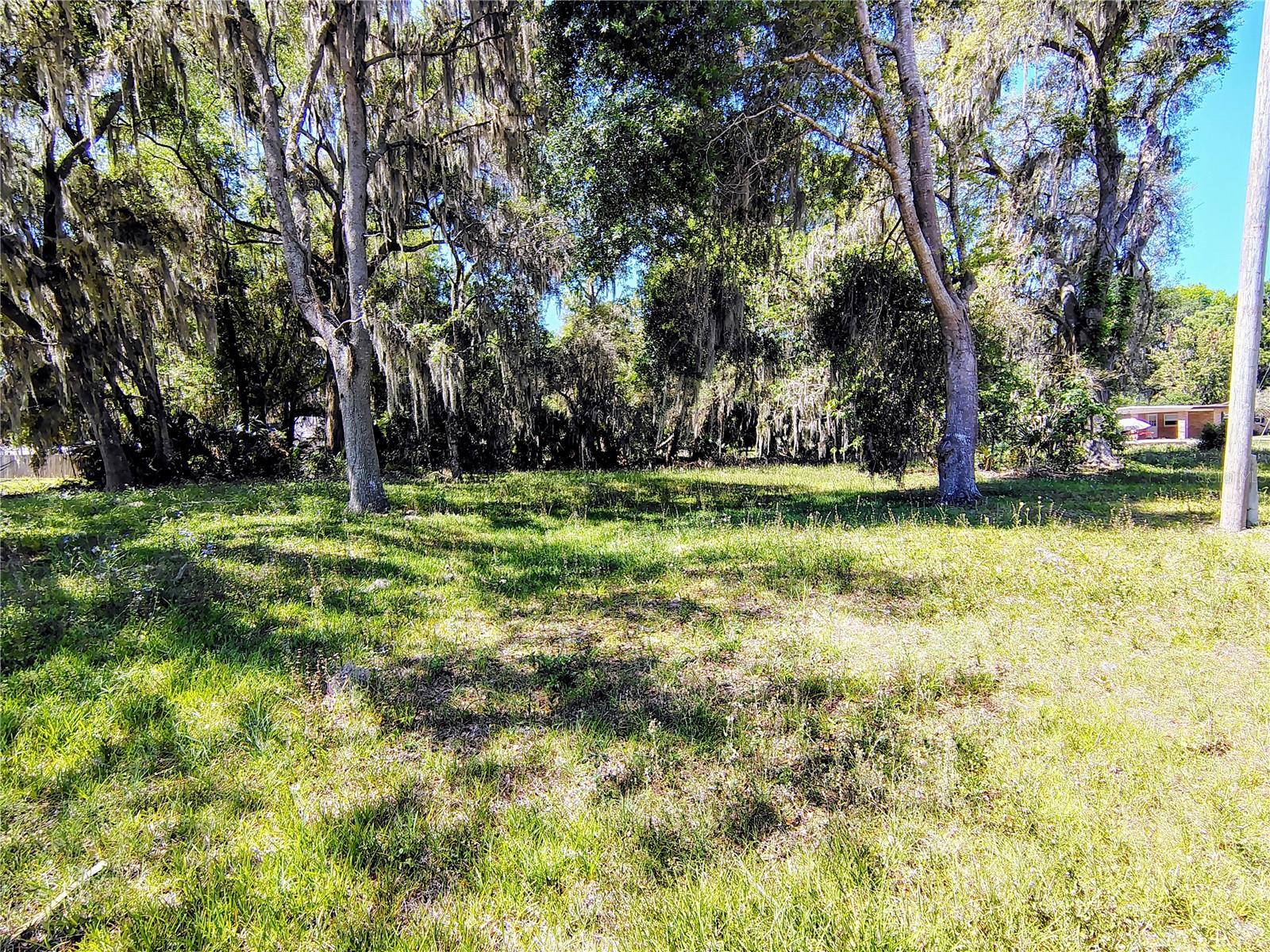 CR 457, LAKE PANASOFFKEE, FL, 33538