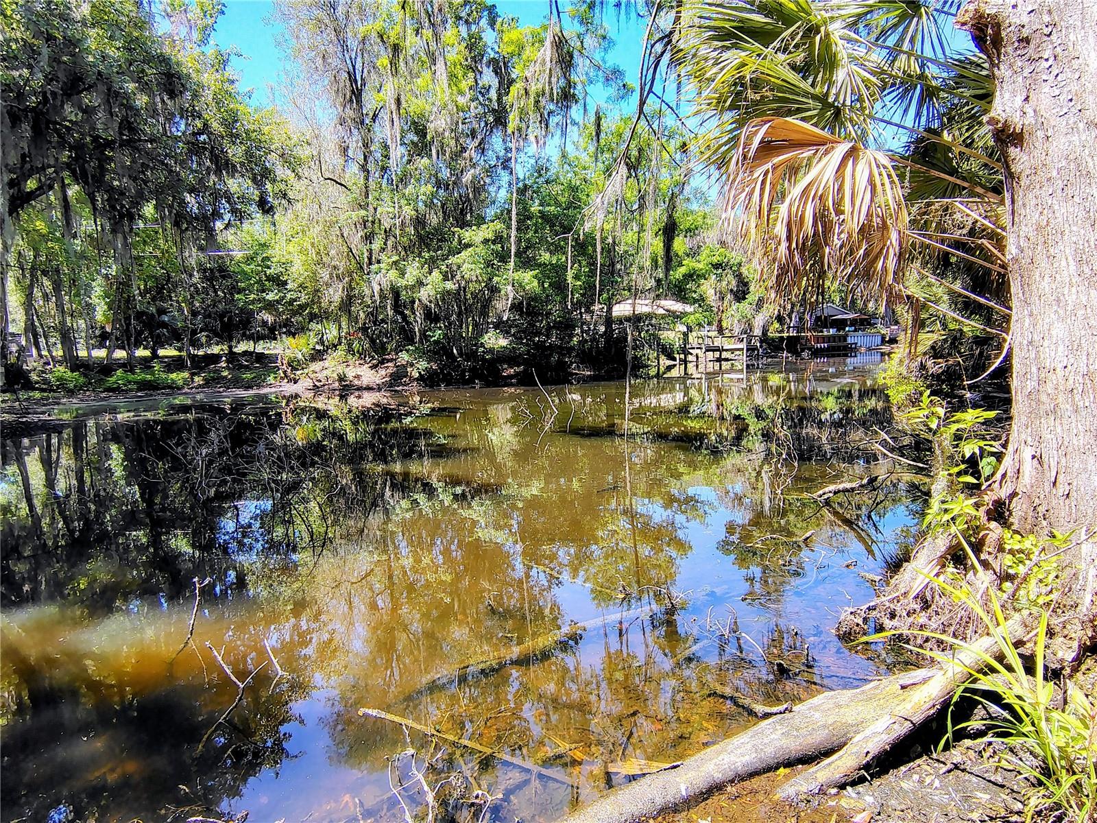 CR 457, LAKE PANASOFFKEE, FL, 33538