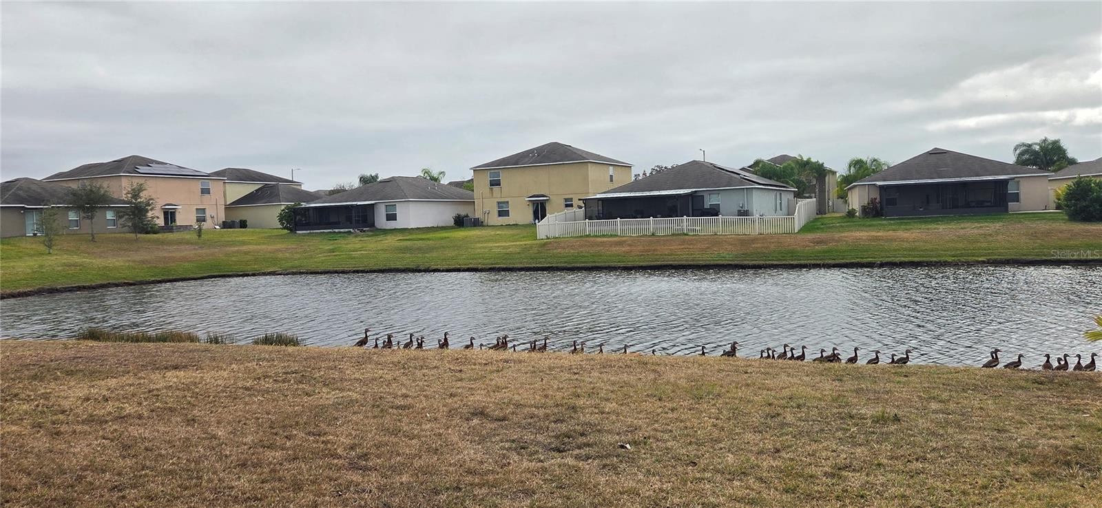 10033 CRESTED FRINGE DR, RIVERVIEW, FL, 33578