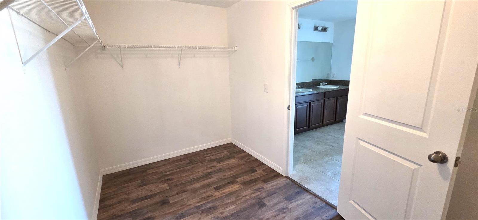 10033 CRESTED FRINGE DR, RIVERVIEW, FL, 33578