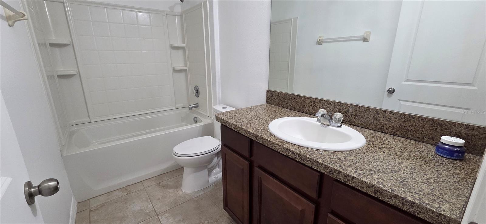 10033 CRESTED FRINGE DR, RIVERVIEW, FL, 33578