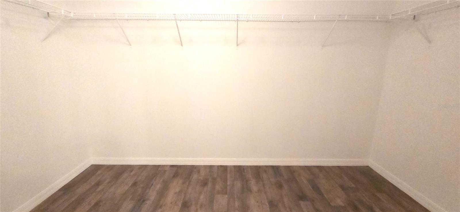 10033 CRESTED FRINGE DR, RIVERVIEW, FL, 33578