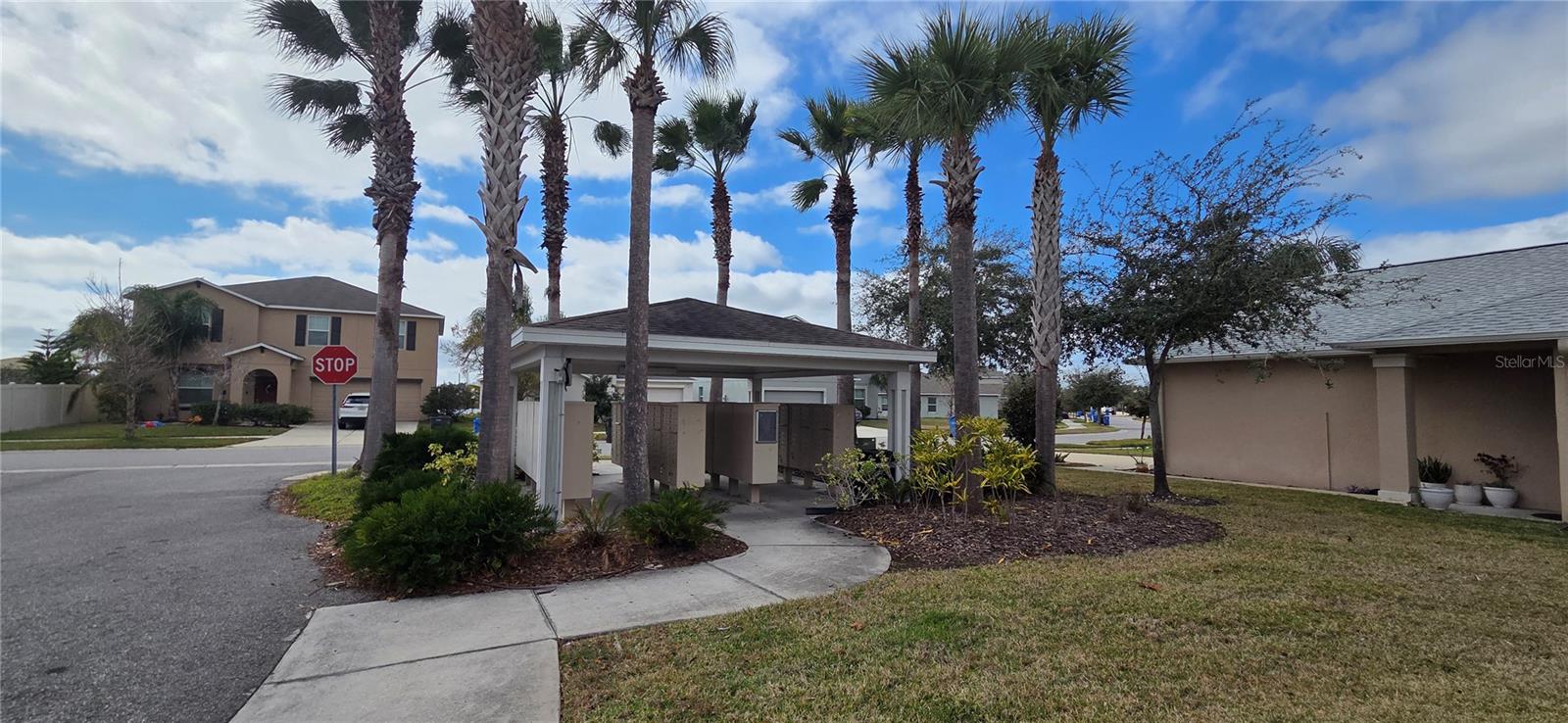 10033 CRESTED FRINGE DR, RIVERVIEW, FL, 33578