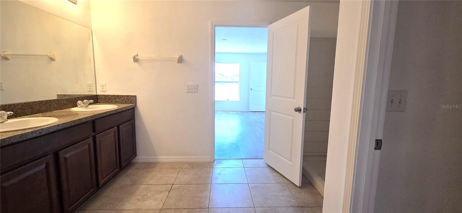 10033 CRESTED FRINGE DR, RIVERVIEW, FL, 33578