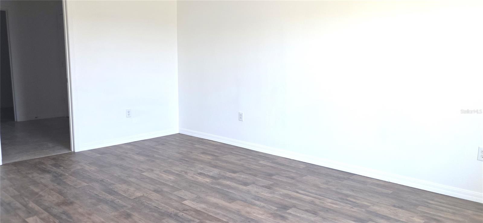 10033 CRESTED FRINGE DR, RIVERVIEW, FL, 33578