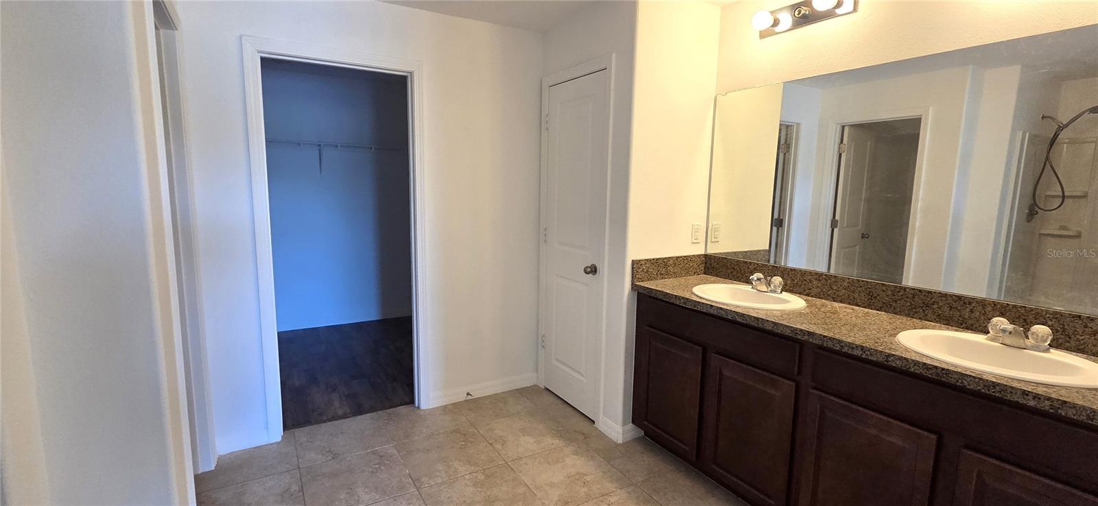 10033 CRESTED FRINGE DR, RIVERVIEW, FL, 33578