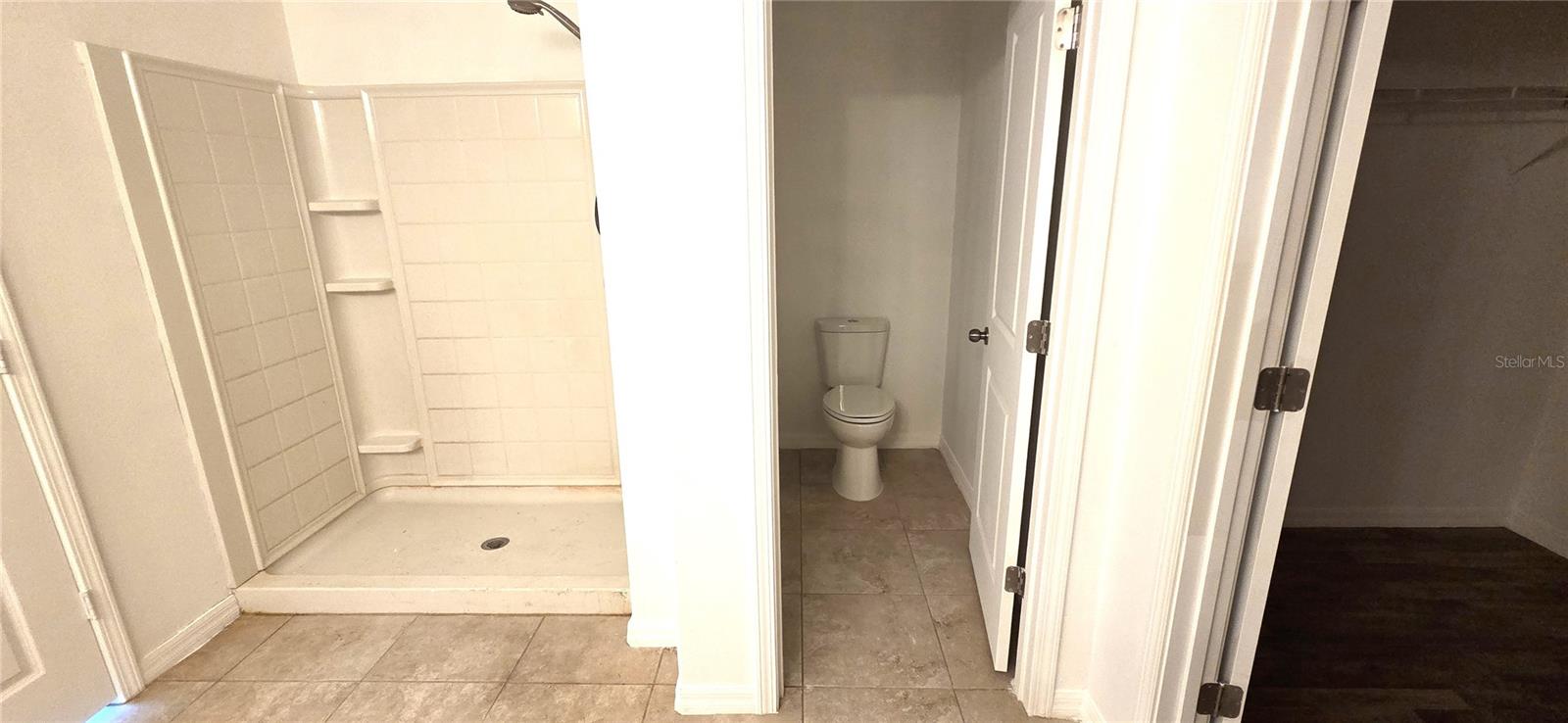 10033 CRESTED FRINGE DR, RIVERVIEW, FL, 33578