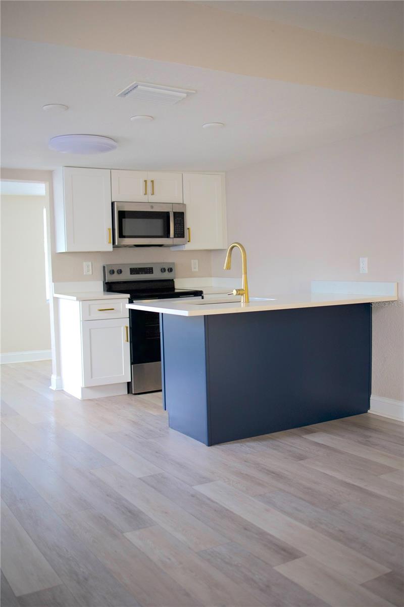 1109 BLANCHE B LITTLEJOHN TRL, CLEARWATER, FL, 33755