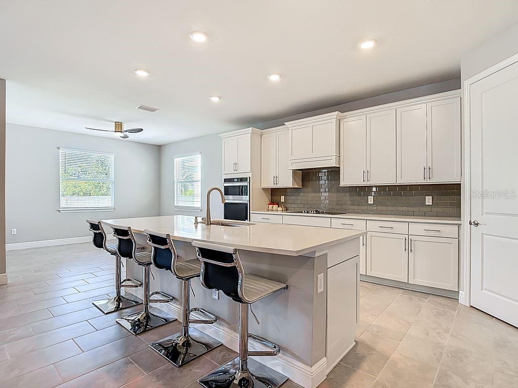 23278 SCAGLIONE DR, LUTZ, FL, 33549