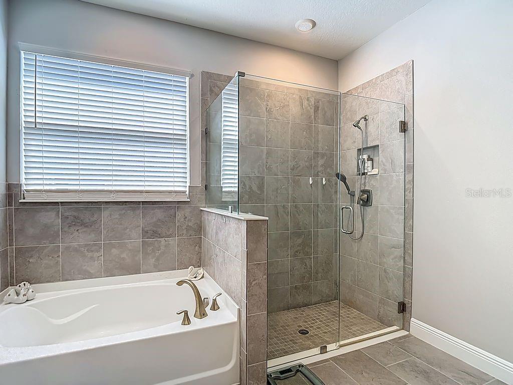 23278 SCAGLIONE DR, LUTZ, FL, 33549