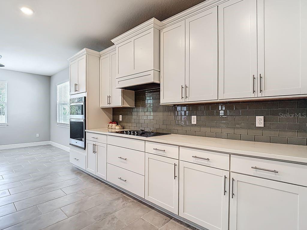 23278 SCAGLIONE DR, LUTZ, FL, 33549