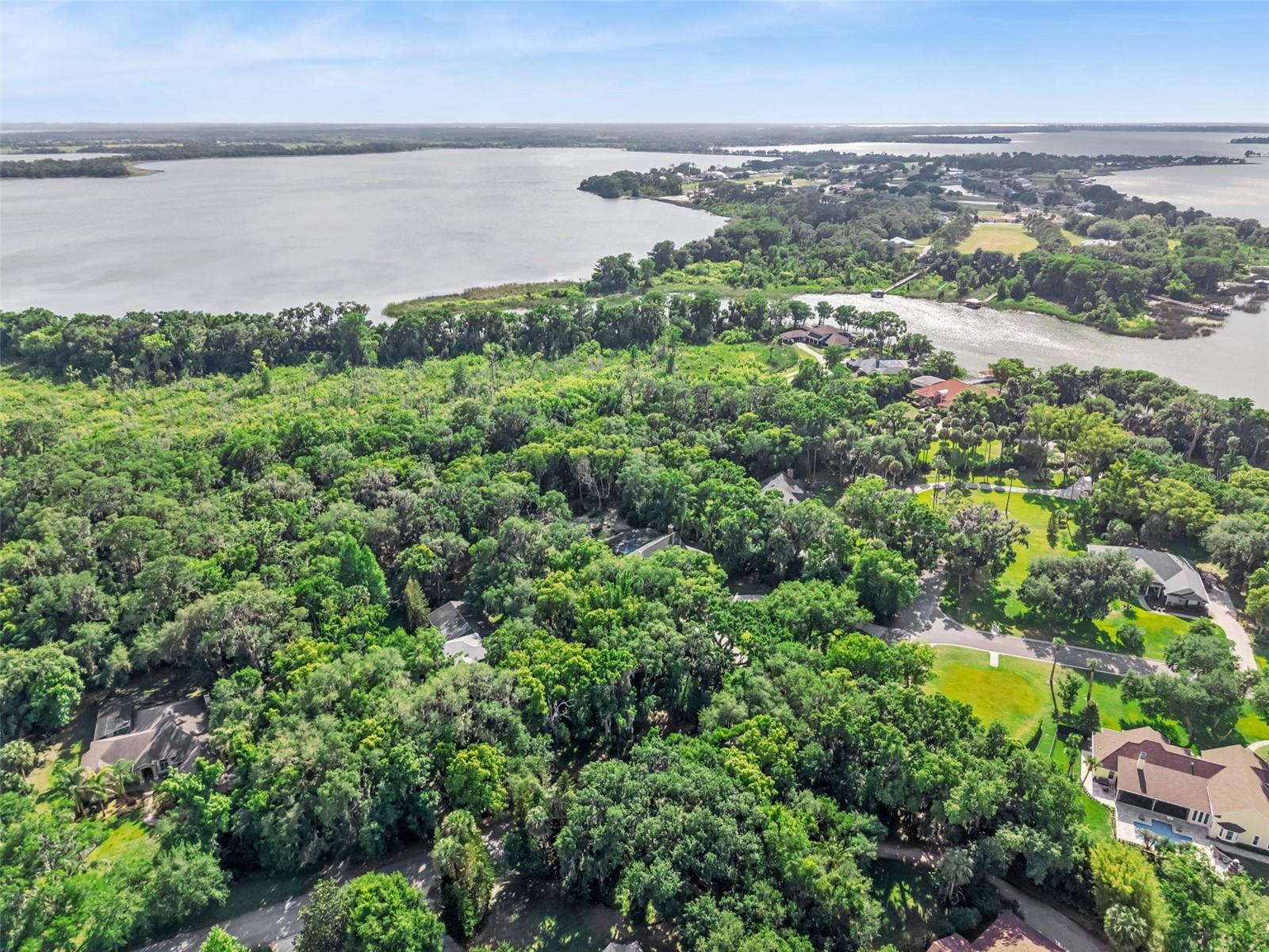 1244 ELYSIUM BLVD, MOUNT DORA, FL, 32757