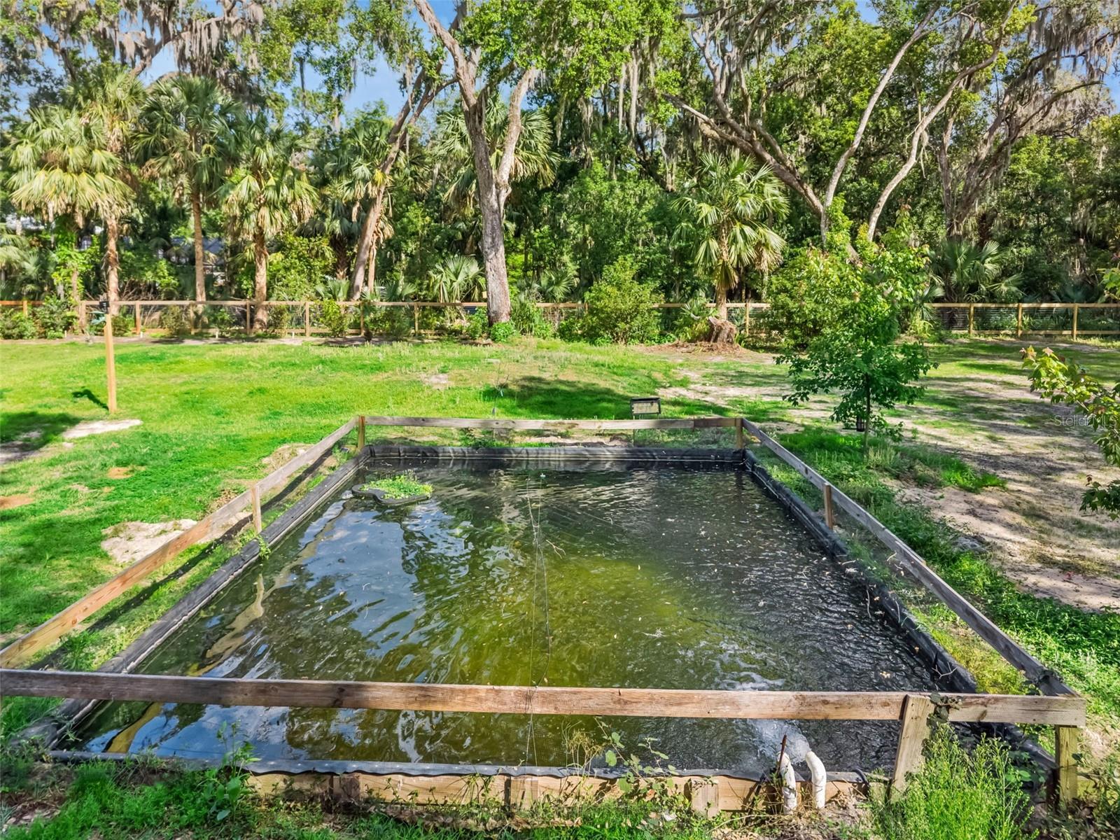 1244 ELYSIUM BLVD, MOUNT DORA, FL, 32757