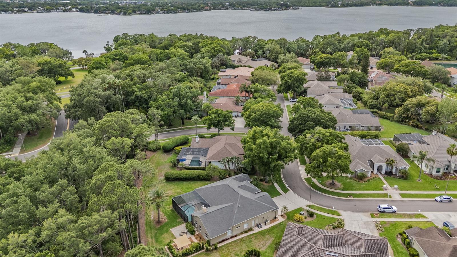 3596 FLORIAN TER, PALM HARBOR, FL, 34685