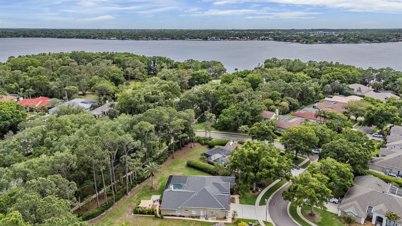 3596 FLORIAN TER, PALM HARBOR, FL, 34685
