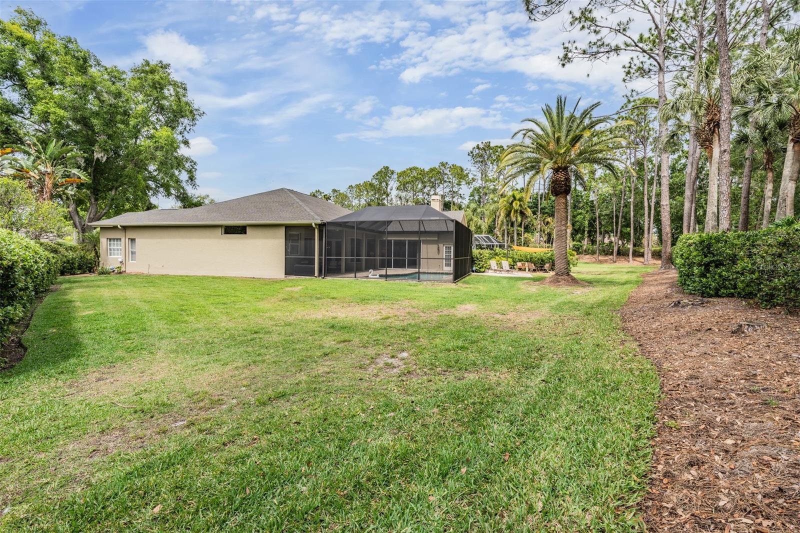3596 FLORIAN TER, PALM HARBOR, FL, 34685