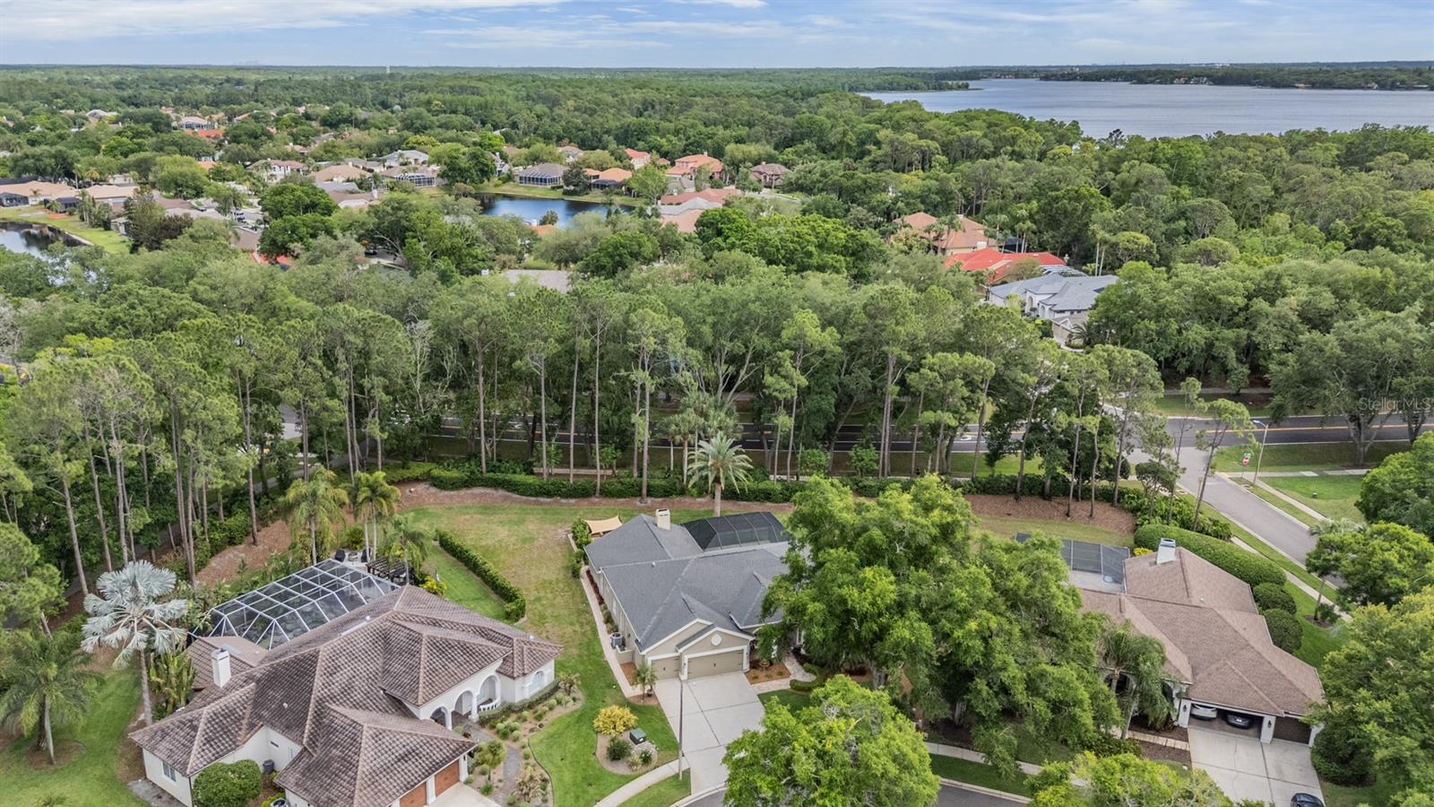 3596 FLORIAN TER, PALM HARBOR, FL, 34685