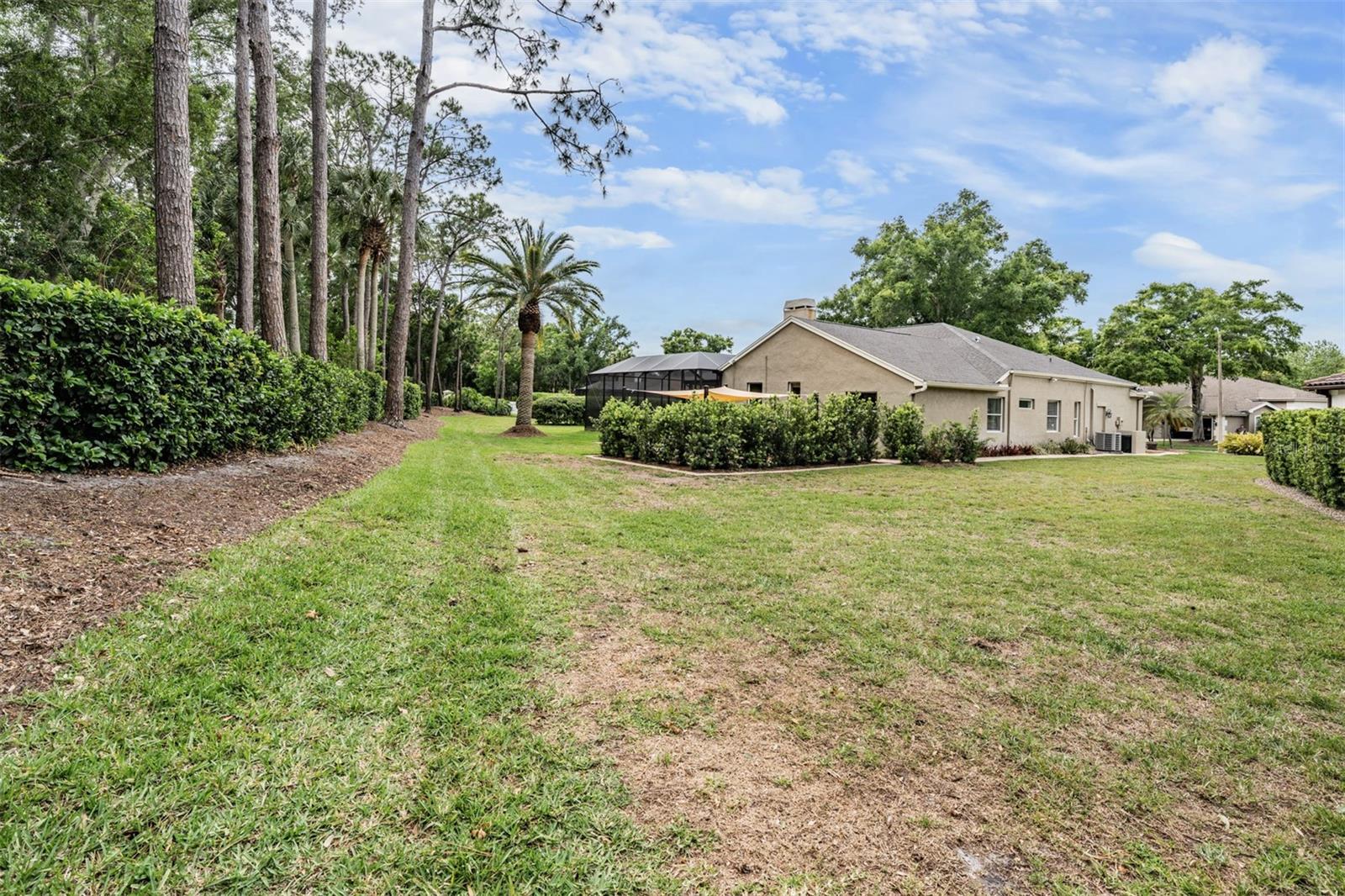 3596 FLORIAN TER, PALM HARBOR, FL, 34685