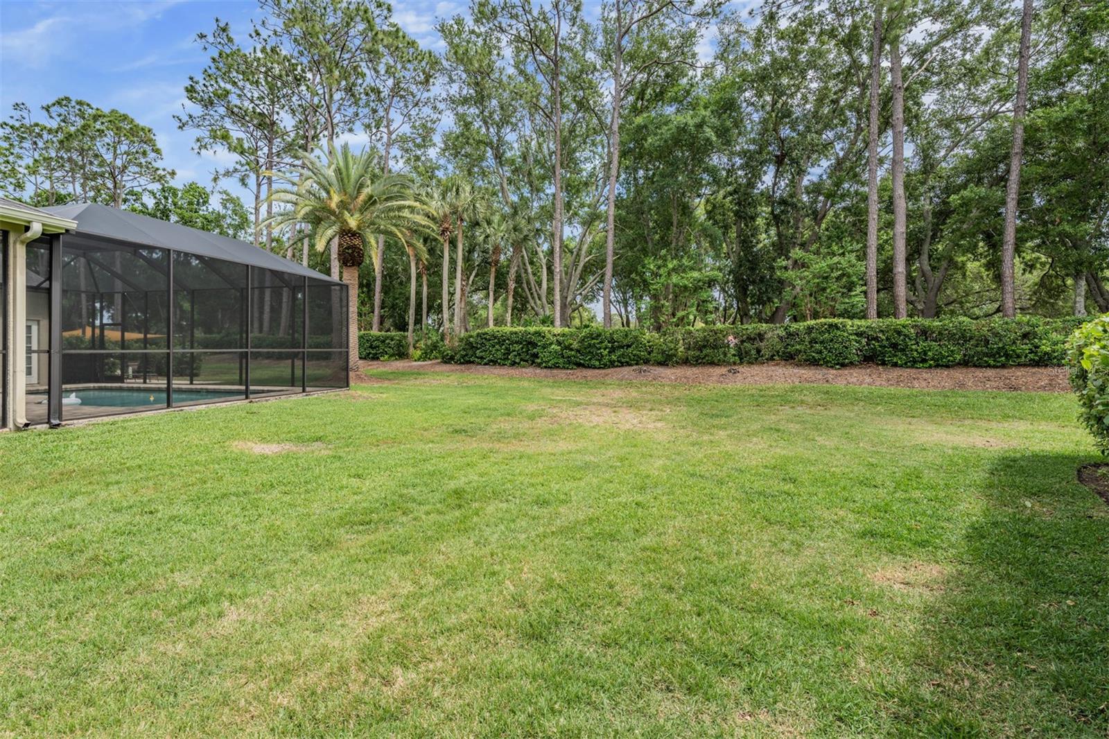 3596 FLORIAN TER, PALM HARBOR, FL, 34685