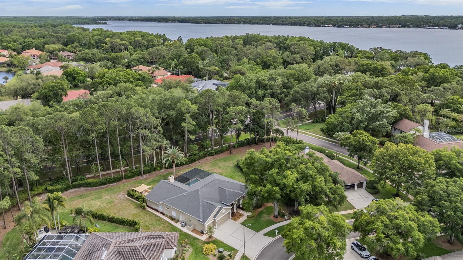 3596 FLORIAN TER, PALM HARBOR, FL, 34685