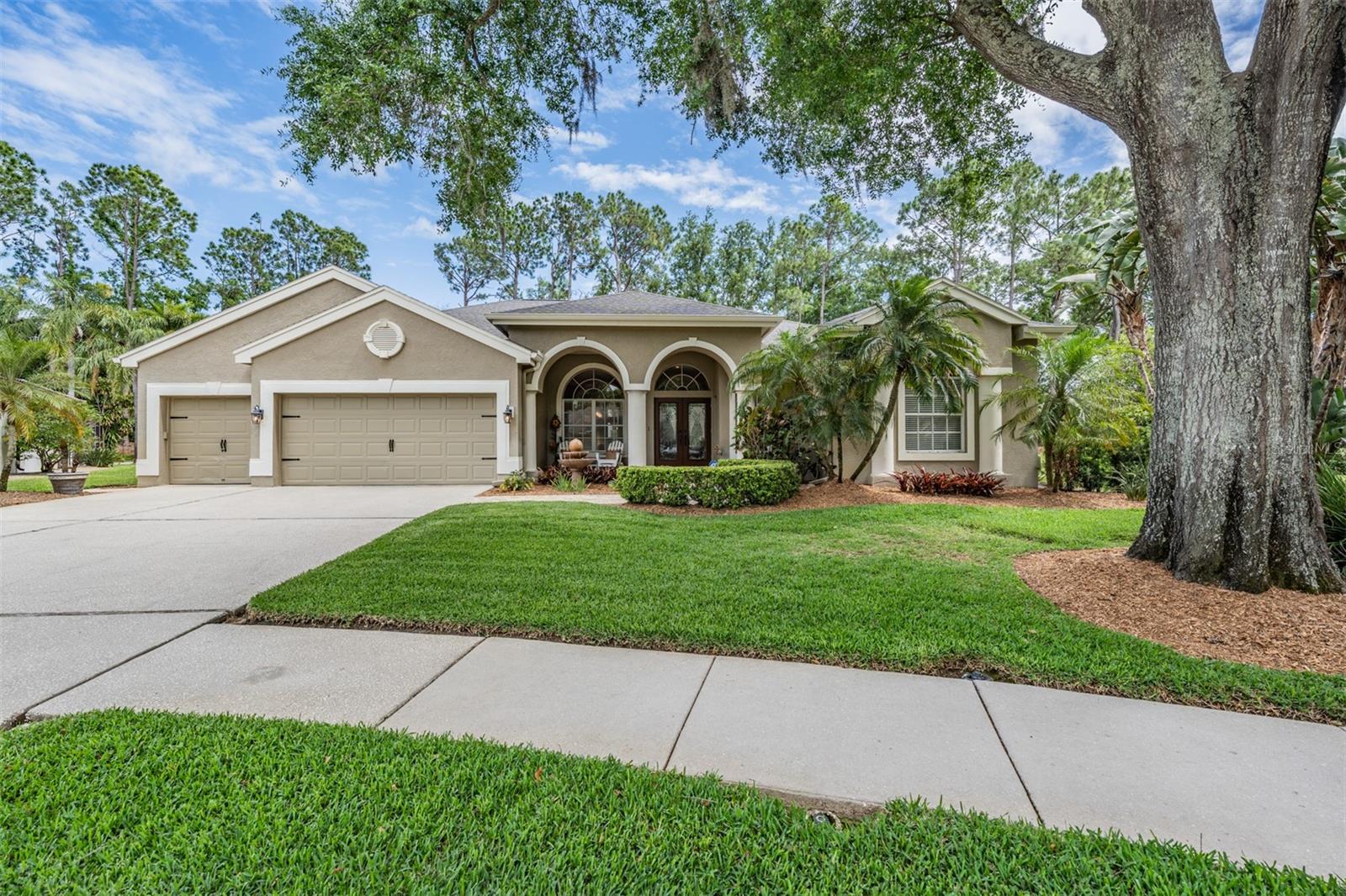 3596 FLORIAN TER, PALM HARBOR, FL, 34685