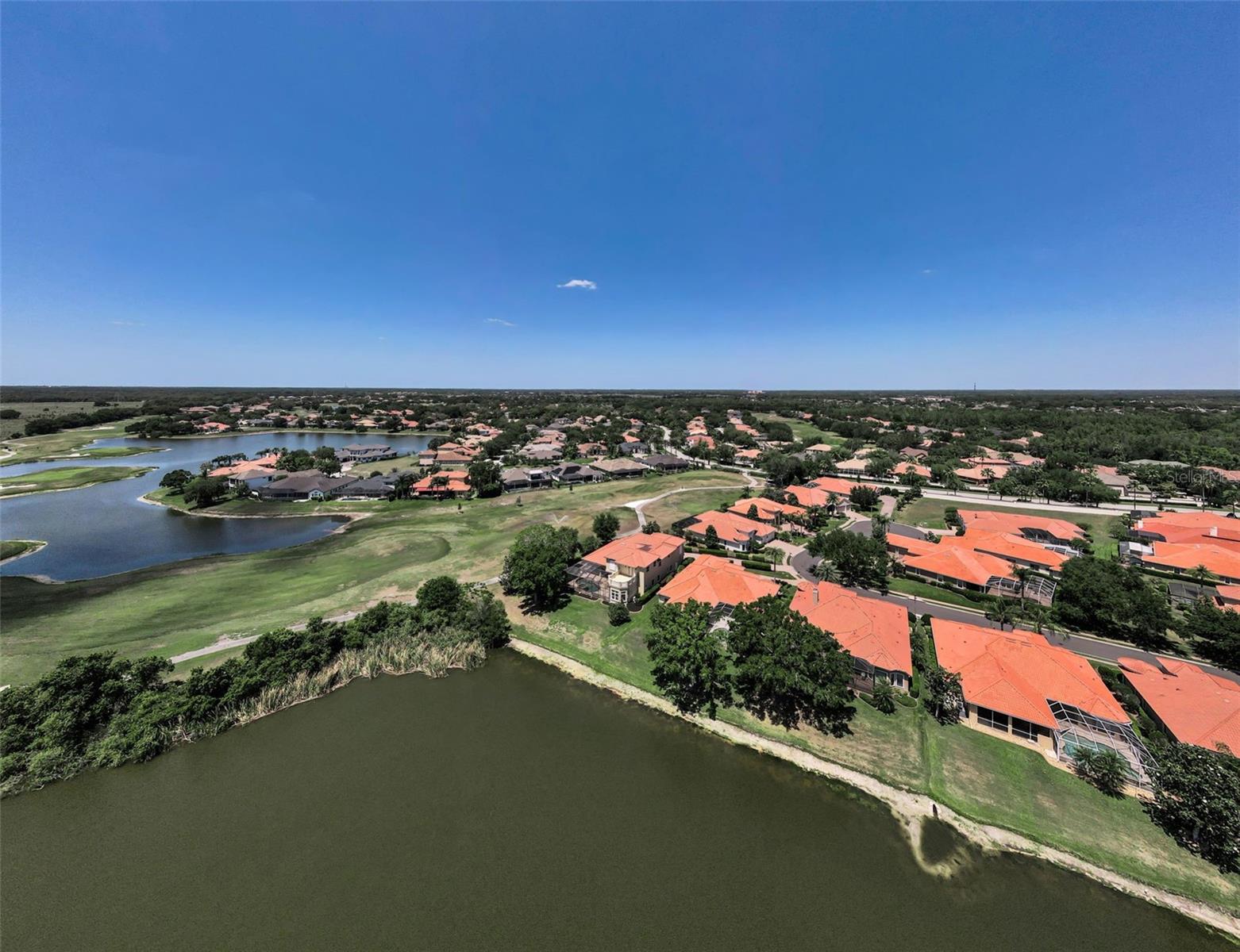 10706 RUFFINO CT, TRINITY, FL, 34655