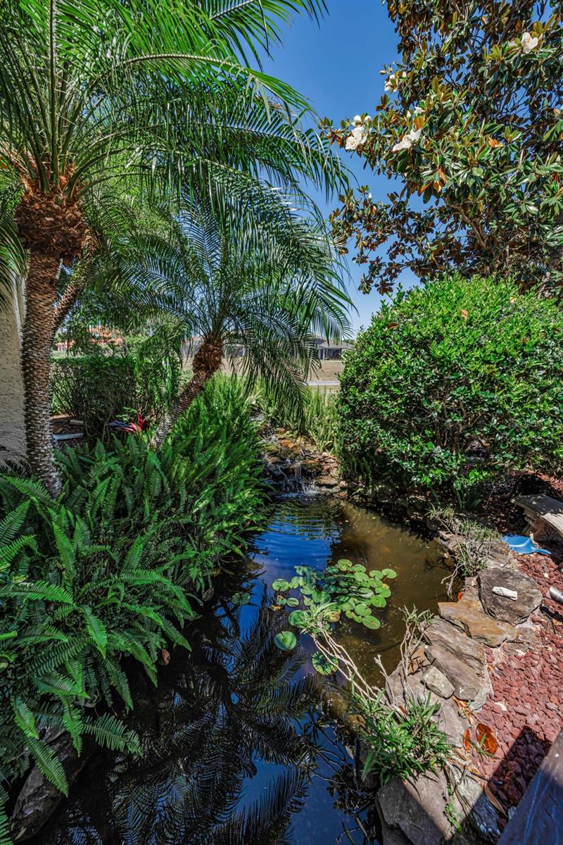 10706 RUFFINO CT, TRINITY, FL, 34655