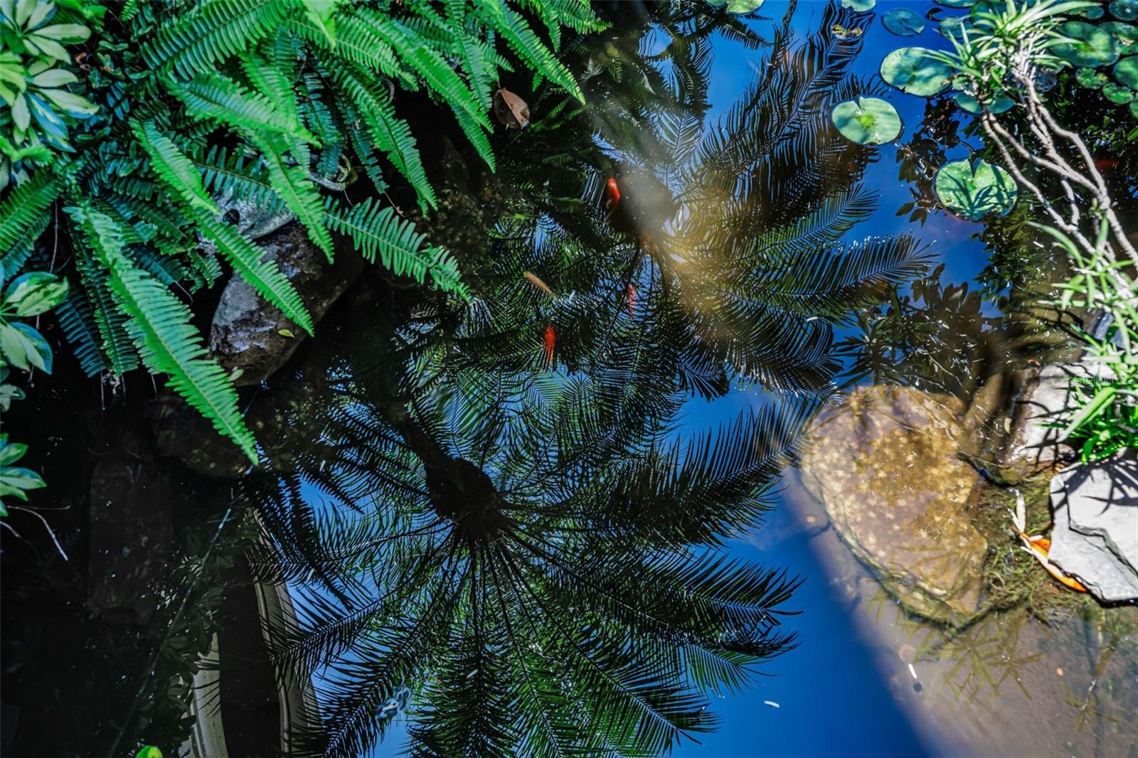 10706 RUFFINO CT, TRINITY, FL, 34655