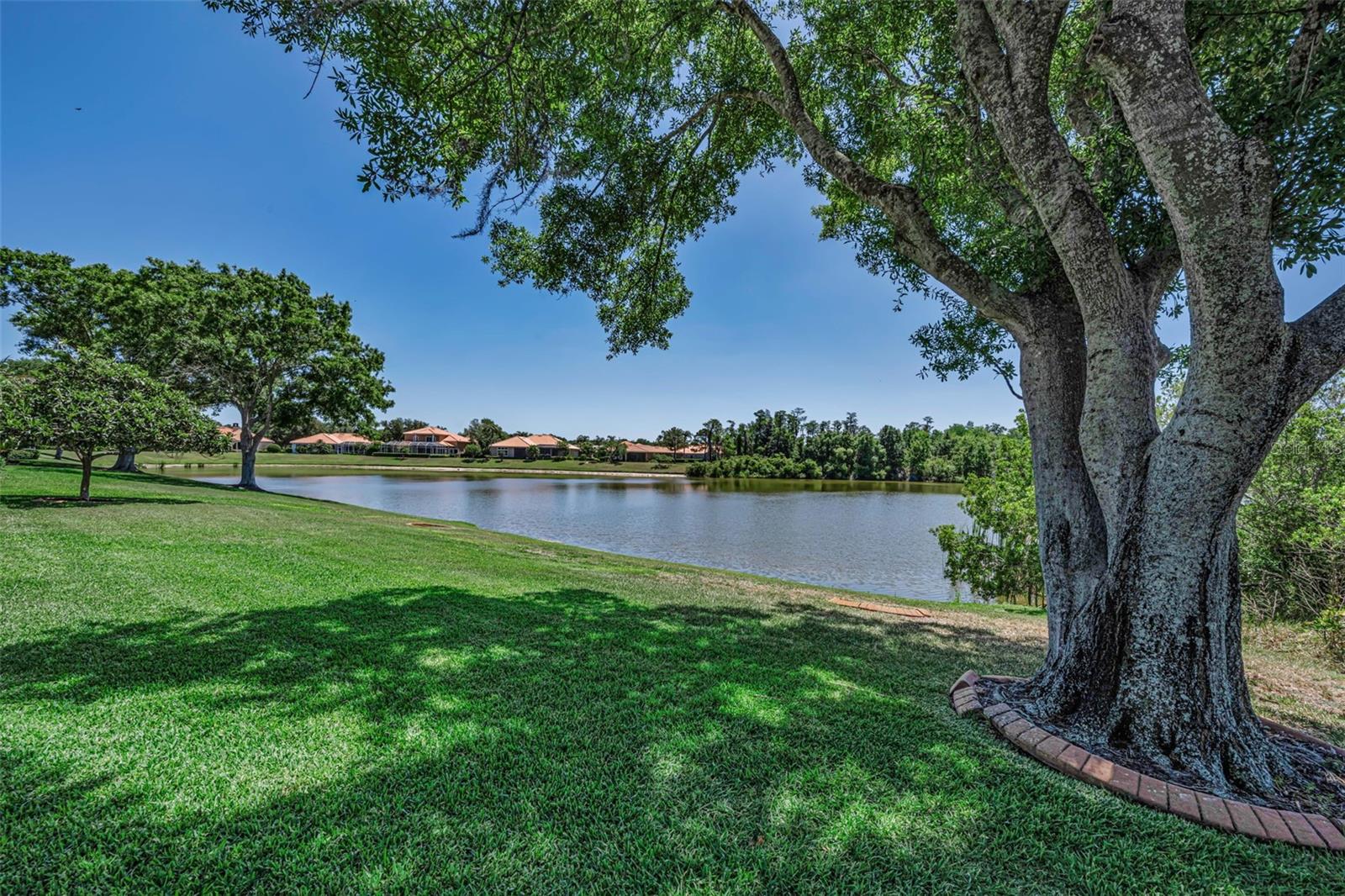 10706 RUFFINO CT, TRINITY, FL, 34655