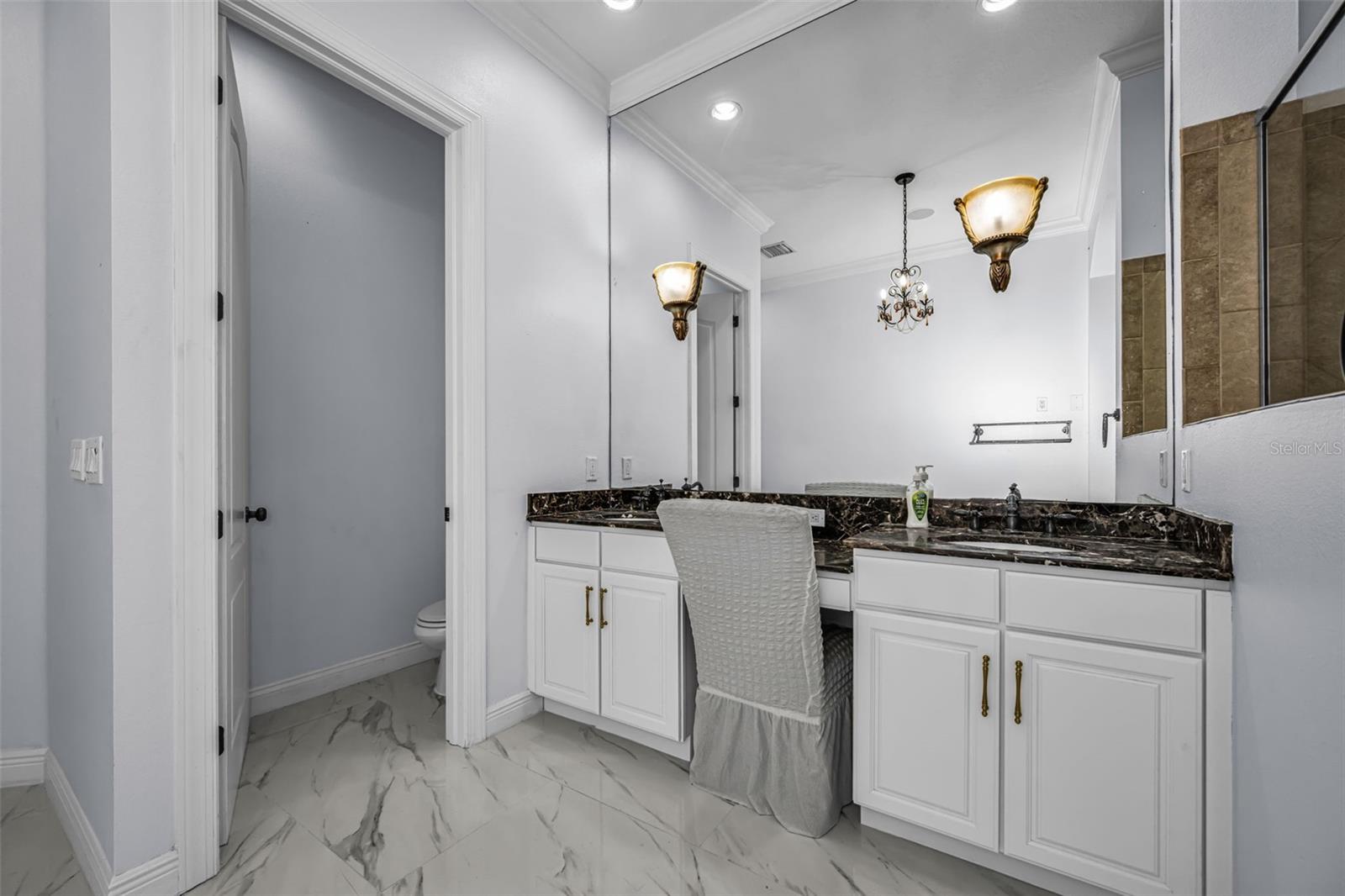 10706 RUFFINO CT, TRINITY, FL, 34655