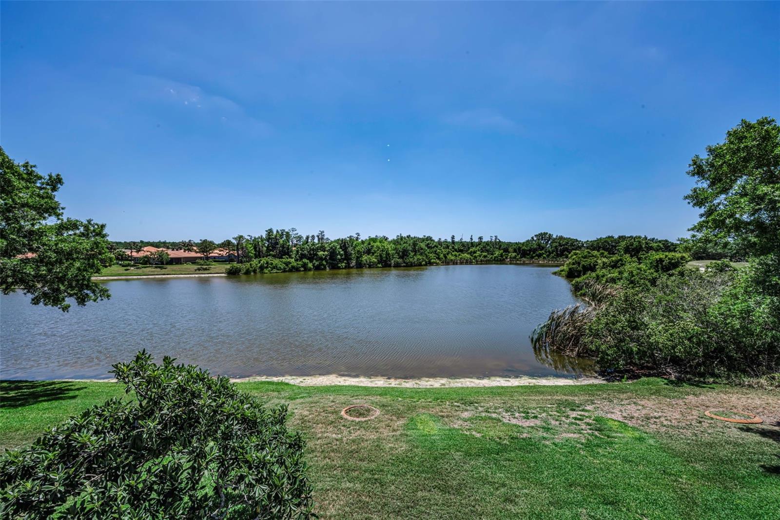 10706 RUFFINO CT, TRINITY, FL, 34655