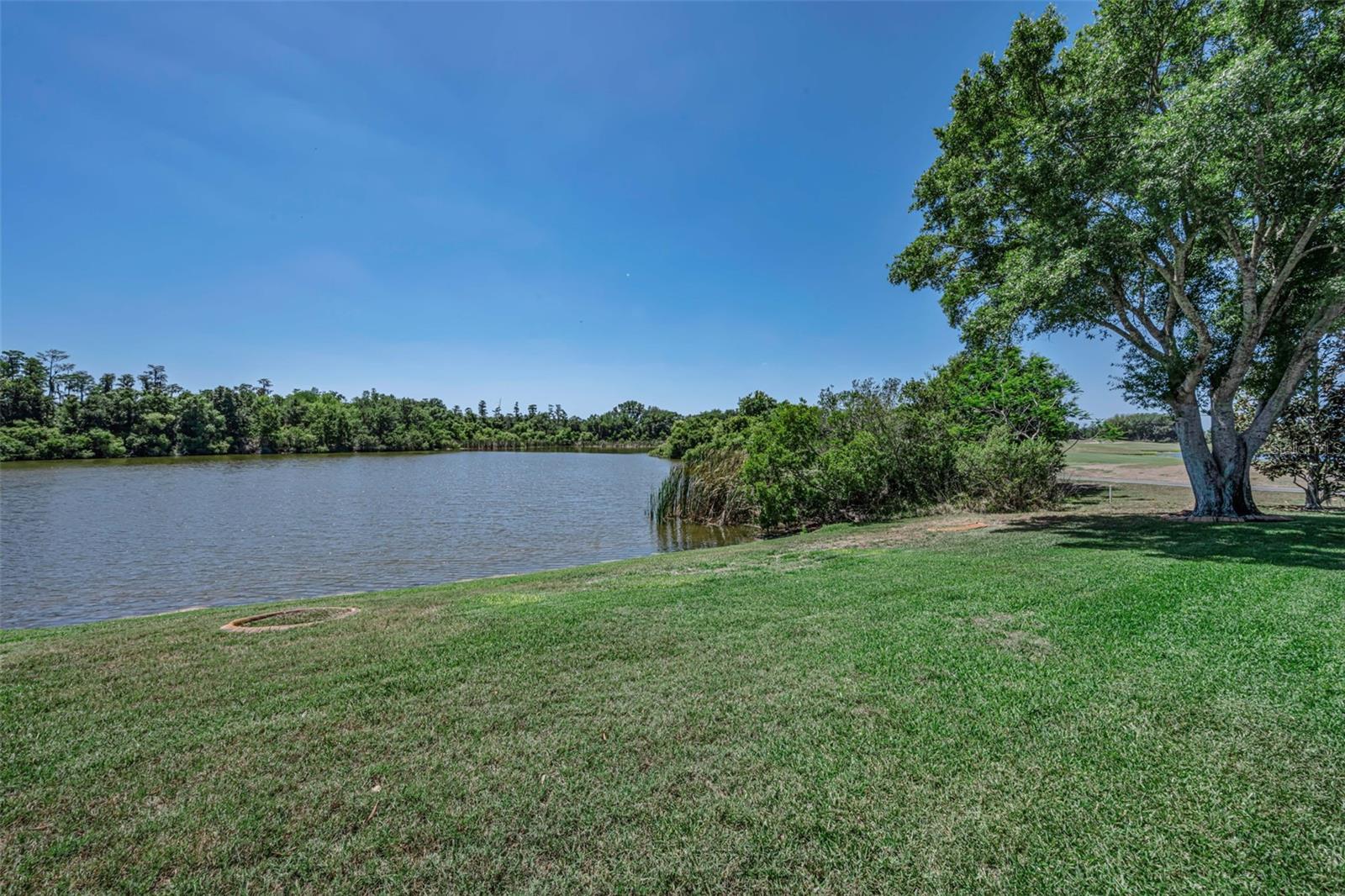 10706 RUFFINO CT, TRINITY, FL, 34655