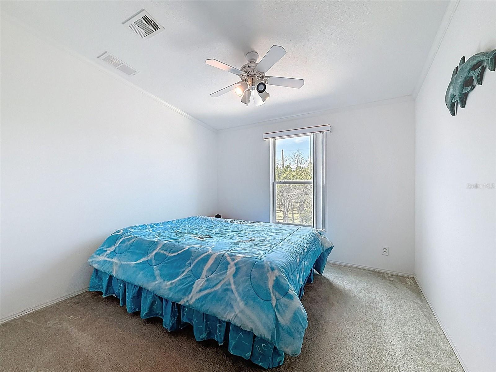 13925 W SANDDOLLAR LN, CRYSTAL RIVER, FL, 34429