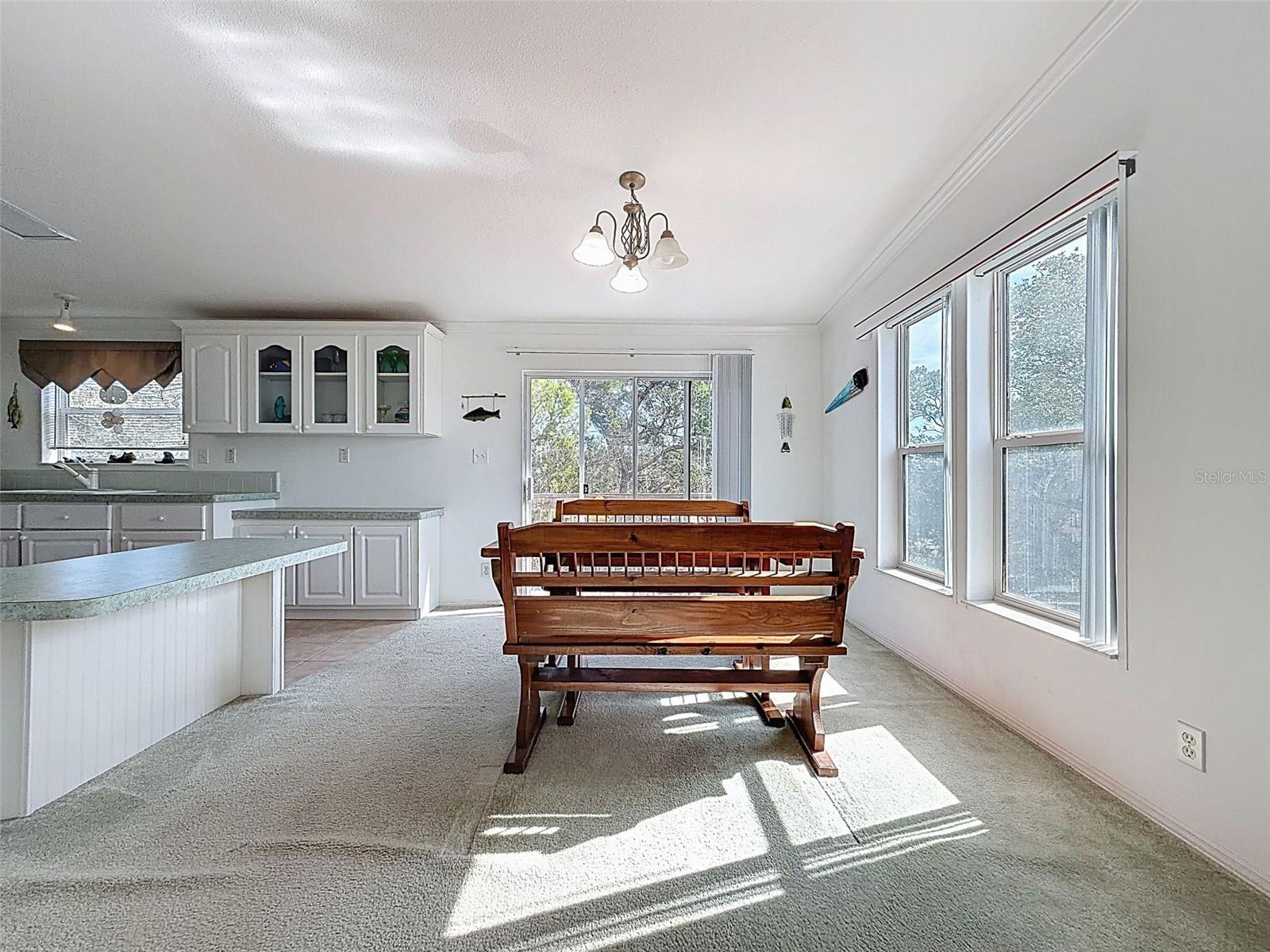 13925 W SANDDOLLAR LN, CRYSTAL RIVER, FL, 34429