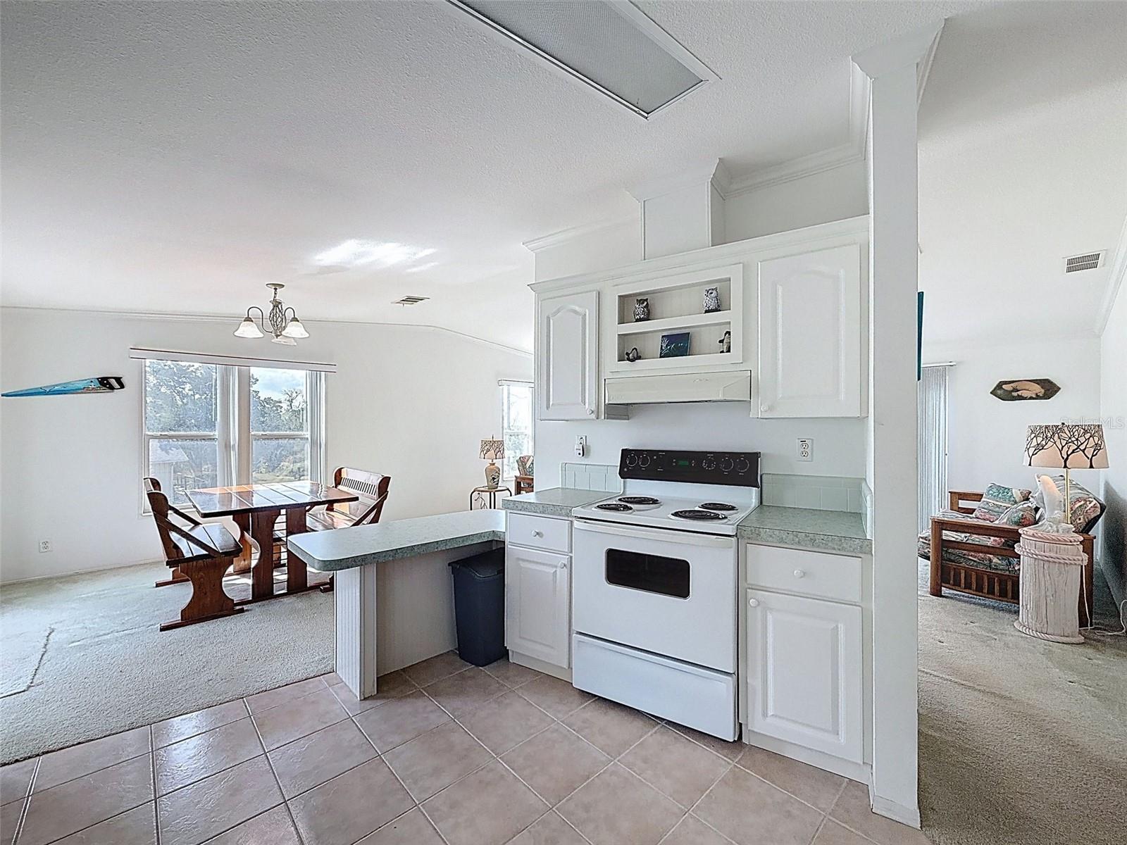 13925 W SANDDOLLAR LN, CRYSTAL RIVER, FL, 34429